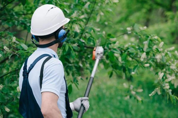 High-Quality Tree Trimming Service at Competitive Prices