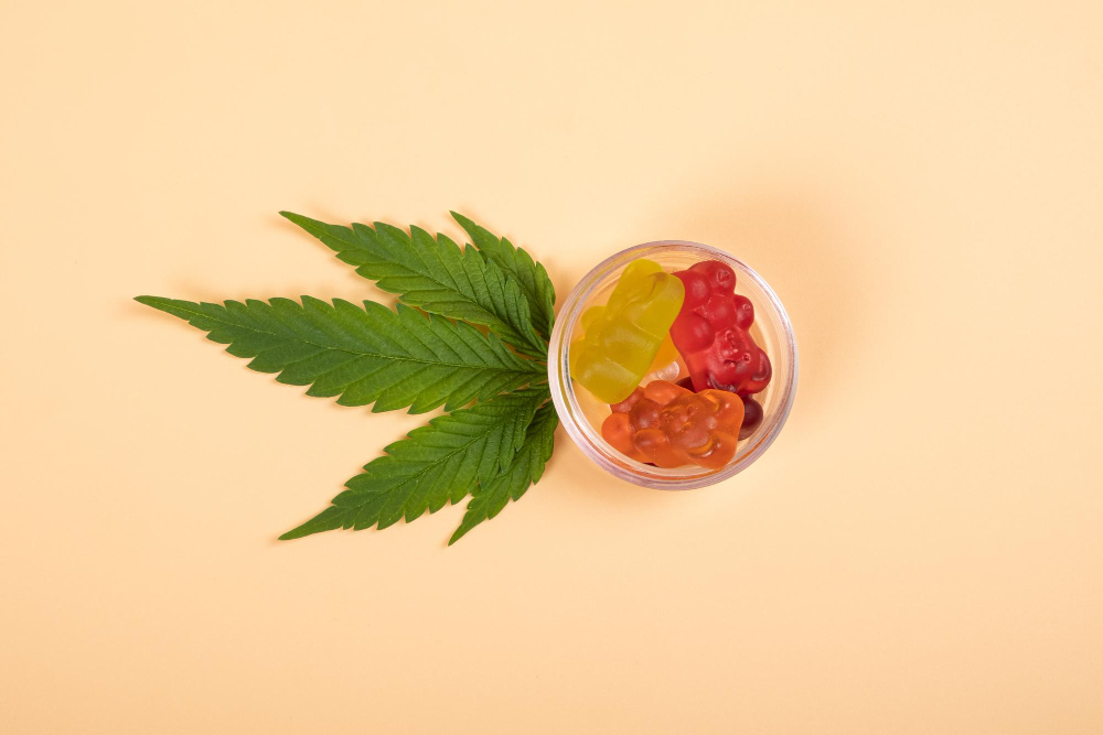 Your Complete Resource for Finding the Best Live Rosin Gummies