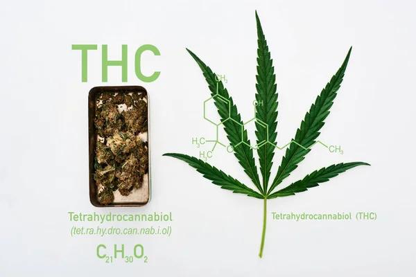 The Importance of Clear Information in Hemp Product Shopping
