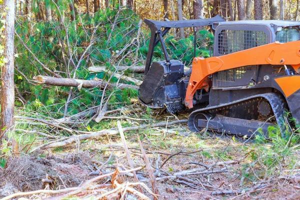 Quality Tree Maintenance From a Trusted tree service near me