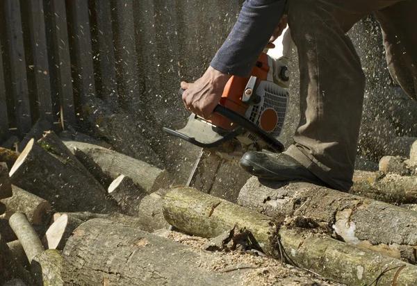 Transform Your Outdoor Space With Professional Tree Removal Service