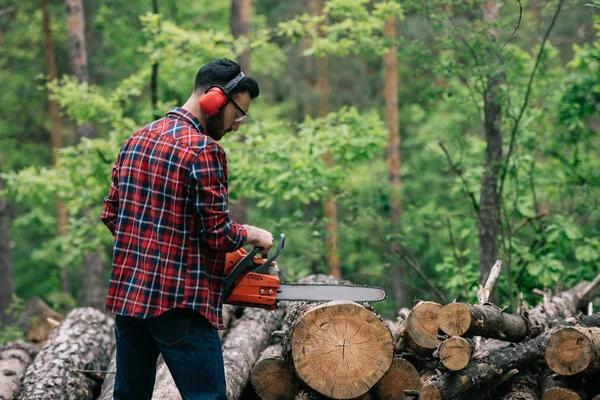 What to Expect During a Safe and Efficient Tree Removal Service