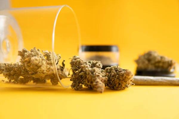 Tips for Exploring THCA Options in Austin Texas